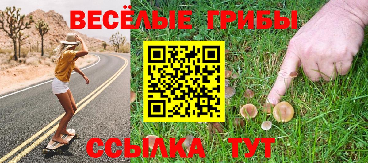 Артёмовский  где найти   Вход с VPN  Псилоцибиновые грибы прущие грибы  Псилоцибиновые грибы Psilocybine cubensis 
